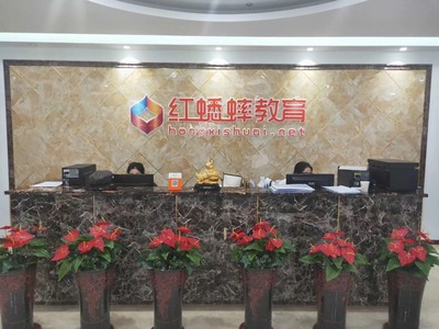 红蟋蟀教育发展历程 探索教育咨询的创新之路